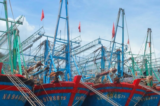 Tàu thuyền Nghệ An khốn đốn vì bồi lắng luồng lạch