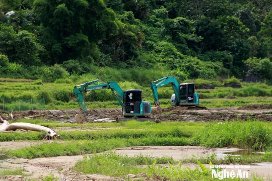 Vùng biên Nghệ An nỗ lực gượng dậy sau lũ quét, khôi phục sản xuất, ổn định cuộc sống