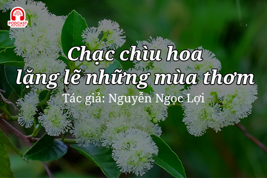 Tản văn hay: Chạc chìu hoa lặng lẽ những mùa thơm