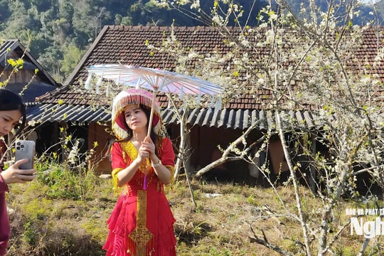 Du lịch cộng đồng rẻo cao Mường Lống ứng dụng chuyển đổi số, thích ứng thời công nghệ