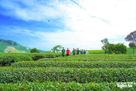 Kỷ niệm 75 năm ngày truyền thống lực lượng Thanh niên xung phong Việt Nam (15/7/1950 - 15/7/2025): Những người 'xanh hóa' đất biên cương