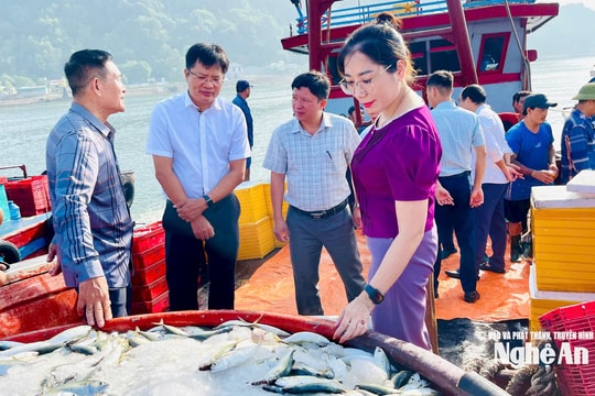 Ngư dân Cửa Lò trúng đậm cá bạc má, thu 150 triệu đồng