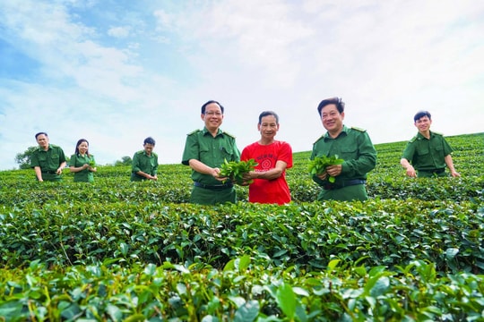 Sáng tinh thần xung kích và kiến thiết trong lực lượng Thanh niên xung phong Nghệ An