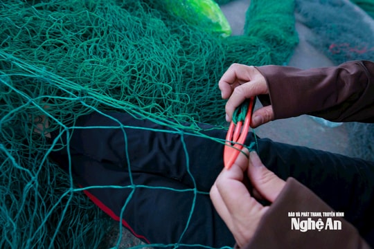 Những đôi tay chai sạn vá lành từng mắt lưới, giữ sinh kế cho ngư dân Nghệ An