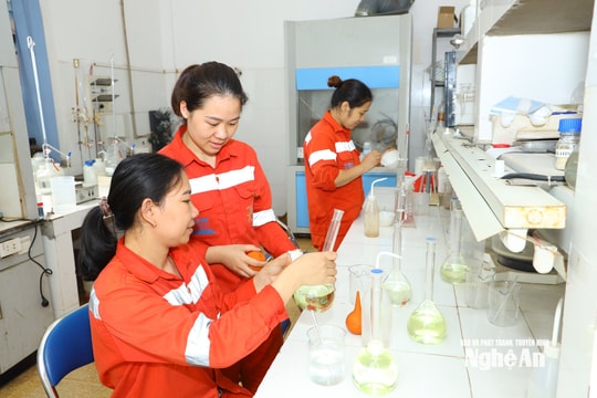 Cơ hội việc làm cho lao động từ 18 - 45 tuổi tại Công ty cổ phần Xi măng Sông Lam