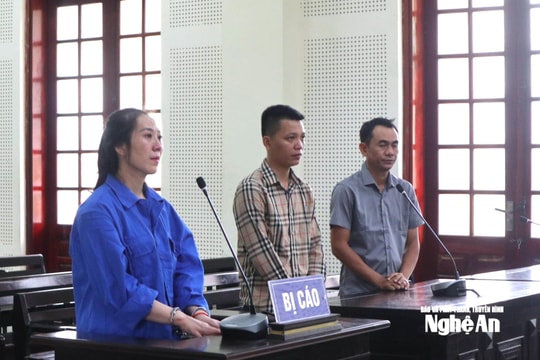 Bí mật trong những thùng hàng đựng cacao và mật ong gửi từ Nam ra Bắc