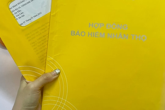 Hợp đồng bảo hiểm nhân thọ dày gần 100 trang, chỉ cần đọc kỹ 4 điểm sau để không bị mất quyền lợi