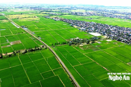 Nghệ An triển khai sớm 3 khu tái định cư phục vụ Dự án Đường sắt tốc độ cao Bắc - Nam