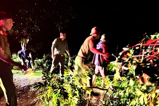 Ảnh hưởng bão số 3, mưa gió quật mạnh, hàng loạt cây xanh gãy đổ, lực lượng chức năng Nghệ An cứu hộ, khắc phục hậu quả trong đêm