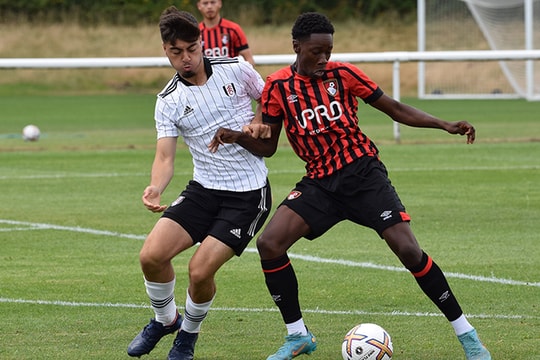 Nhận định, dự đoán Bournemouth vs Bristol City: Khởi đầu rực lửa trên sân nhà