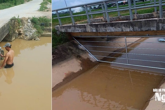 Cảnh báo tình trạng vứt xác lợn xuống kênh thủy lợi, xã Minh Châu phải lắp lưới chắn tạm thời