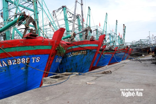 Bão số 3 (bão Wipha): Nghệ An cấm tất cả các loại tàu thuyền và phương tiện vận tải ra khơi từ 5h sáng ngày 21/7