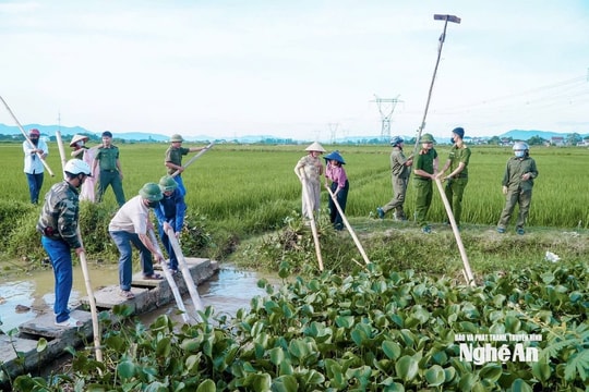 Ứng phó bão số 3, nhiều địa phương của Nghệ An khẩn trương trục vớt bèo tây, đảm bảo tiêu úng kịp thời