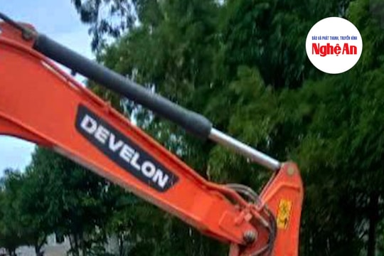 Xã Minh Châu lắp lưới tạm ngăn xác lợn trôi gây ô nhiễm