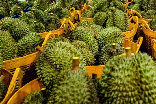 Giá sầu riêng và trái cây nội địa đồng loạt giảm giá sốc, người tiêu dùng trong nước hưởng lợi