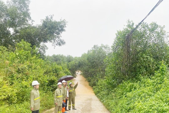 Nghệ An khẩn trương khắc phục hệ thống điện bị ảnh hưởng do hoàn lưu bão số 3