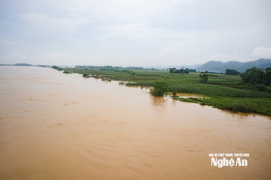 Các địa phương vùng hạ du Nghệ An chủ động ứng phó trước lũ thượng nguồn đổ về