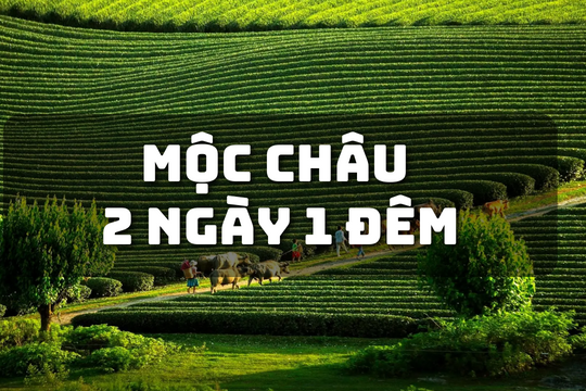 Tour du lịch 2N1Đ hái mận tại vườn cao nguyên Tây Bắc