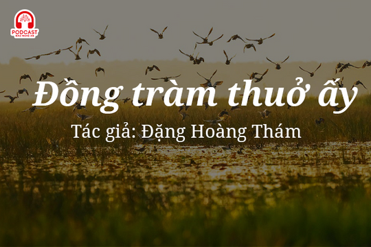 Đọc truyện đêm khuya: Đồng tràm thuở ấy