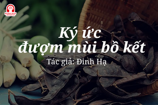 Tản văn hay: Ký ức đượm mùi bồ kết