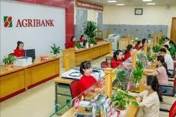 Agribank chi nhánh Nam Nghệ An thông báo tuyển dụng lao động đợt 1 năm 2025
