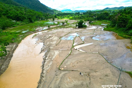 Cận cảnh hàng trăm héc-ta lúa hè thu các xã Tri Lễ, Châu Tiến bị vùi sâu trong bùn sau lũ phía Tây Bắc Nghệ An