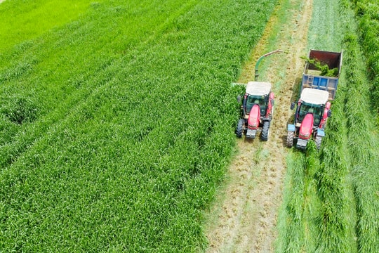 'Mở khóa tự nhiên' tại Green Farm: Mô hình sinh thái của Vinamilk truyền cảm hứng cho doanh nghiệp