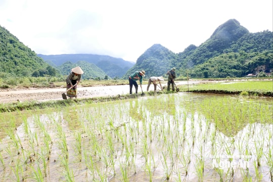 Thời tiết Nghệ An ngày 31/7: Ngày nắng nóng, chiều và đêm có mưa rào và dông và nơi