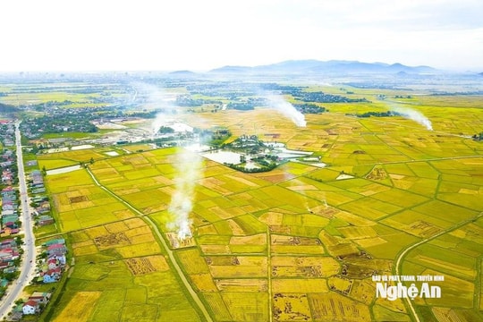 Thời tiết Nghệ An ngày 1/8: Ngày nắng nóng, có nơi nắng nóng gay gắt