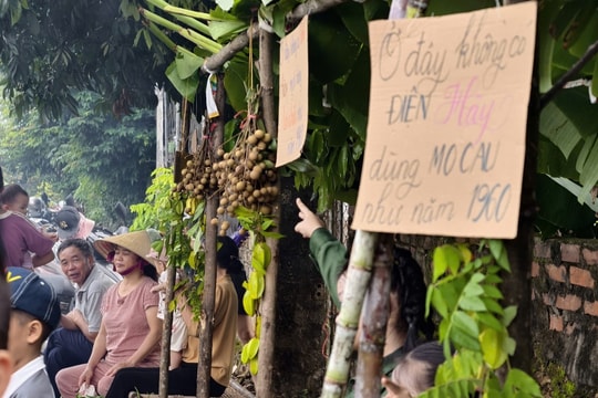 Độc đáo phiên chợ '1 nghìn đồng' cho trẻ em trải nghiệm chợ quê thời ông bà