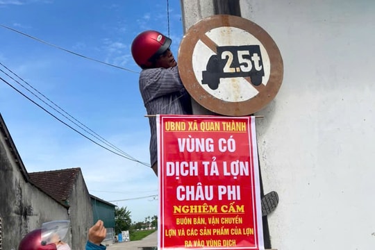 Nghệ An: Vì sao dịch tả lợn châu Phi bùng phát mạnh?