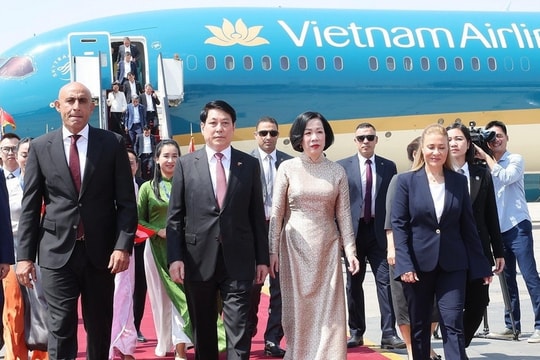 Chủ tịch nước Lương Cường và Phu nhân đến Cairo, Ai Cập