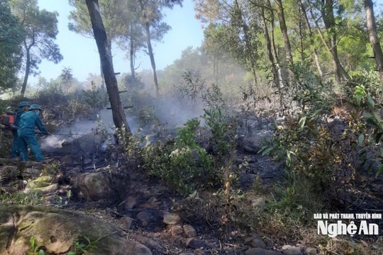 Nghệ An duy trì lực lượng canh gác, phòng nguy cơ cháy rừng trở lại