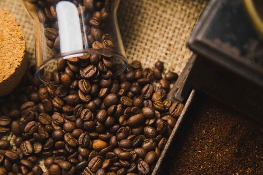 Giá cà phê hôm nay 5/8/2025: Giá cà phê giảm nhẹ, thị trường bước vào giai đoạn tích lũy