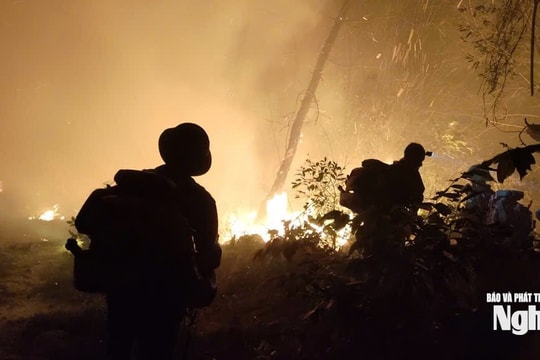 Nhiều khó khăn trong công tác phòng chống cháy rừng ở Nghệ An