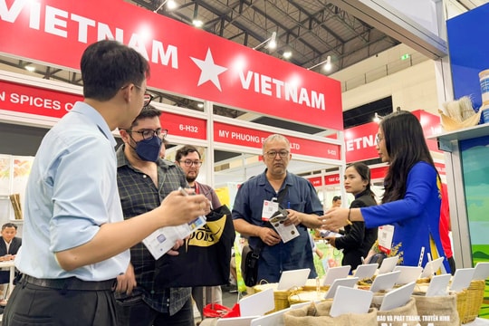 Việt Nam vươn lên top 2 thế giới về xuất khẩu gạo: Cơ hội nào cho lúa gạo Nghệ An?