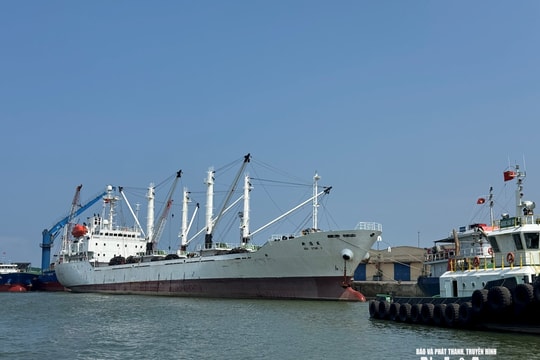 Đề xuất sửa đổi, nâng mức hỗ trợ hãng tàu container qua Cảng Cửa Lò