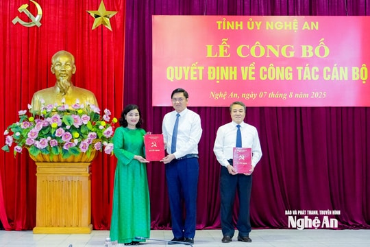 Đồng chí Nguyễn Thị Hồng Hoa giữ chức Phó Chủ nhiệm Ủy ban Kiểm tra Tỉnh ủy Nghệ An