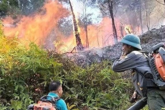 Khống chế đám cháy rừng tại đỉnh rú Ối, xã Hoa Quân