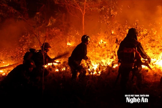 Nhiều địa phương tại Nghệ An có nguy cơ cháy rừng ở cấp nguy hiểm, cần chủ động phương án ứng phó