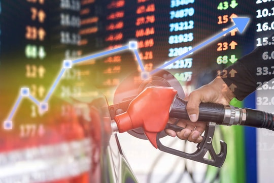 Giá xăng dầu hôm nay 14/8: Tăng nhẹ sau khi chạm đáy 2 tháng