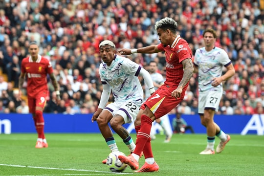 Nhận định cơ hội giữ sạch lưới của Wolves và Manchester City Cùng nhà cái F168 - Cơ hội hiếm hoi để dự đoán bước đi của hai đội bóng hàng đầu tại Premier League