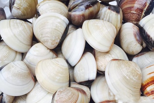 Mẹo nấu ăn: Bí quyết rửa ngao sạch cát trong tích tắc, ai cũng có thể làm được
