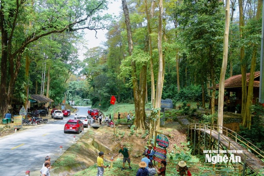 Phát huy tiềm năng, xây dựng Tam Quang vững mạnh toàn diện