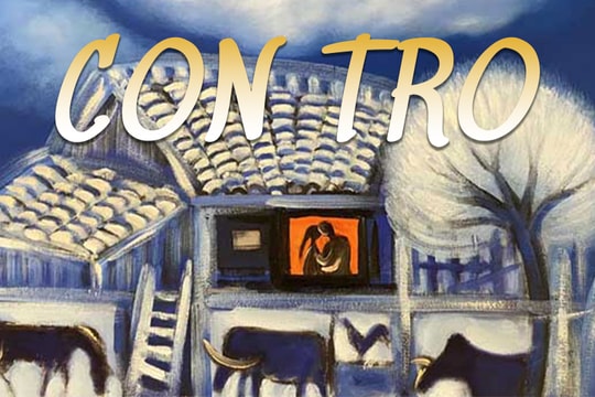 Đọc truyện đêm khuya: Con Tro