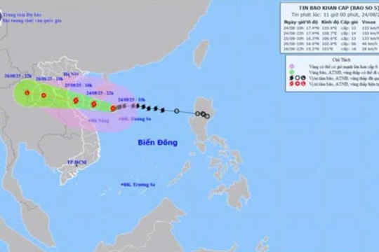 Từ đêm nay (24/8) đến hết ngày 26/8, dự báo Nghệ An có mưa to đến rất to, với lượng mưa phổ biến 200-400mm, cục bộ có nơi trên 600mm