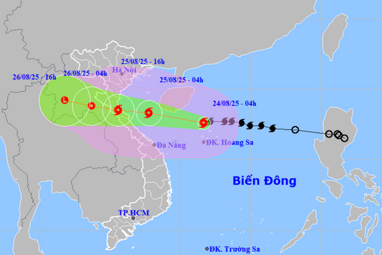 Thường trực Tỉnh ủy Nghệ An chỉ đạo khẩn tập trung ứng phó khẩn cấp bão số 5