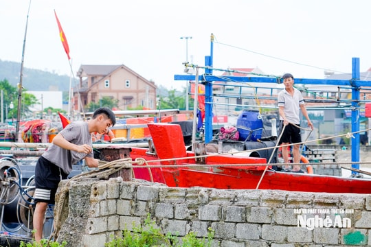Ứng phó bão số 5: Gần 3.000 tàu thuyền ở Nghệ An đã về nơi trú ẩn an toàn