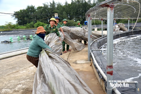 Biên phòng Nghệ An khẩn trương vào cuộc ứng phó bão số 5
