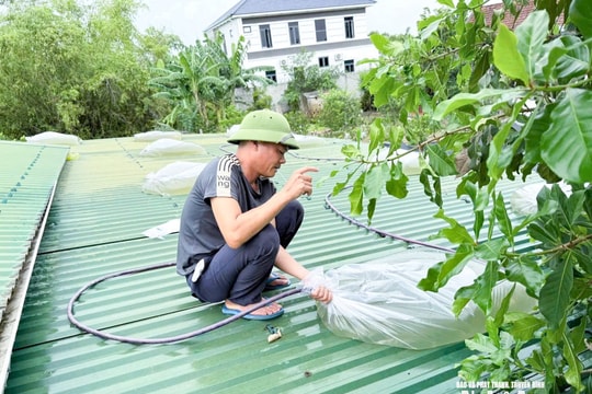 Chống bão số 5: Túi ni lông chằn mái, bếp ga mini 'cháy hàng' tại Nghệ An